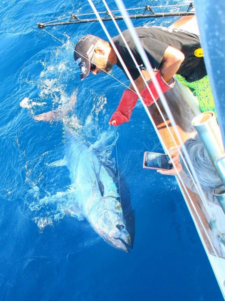 Pêche au gros à la Gomera (Iles Canaries)