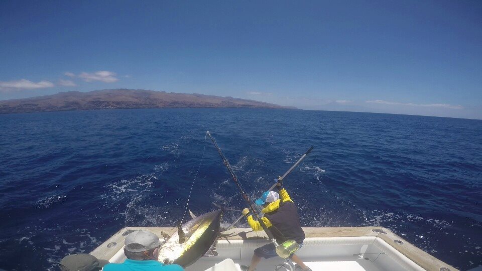 tournoi-peche-au-gros-la-gomera-01