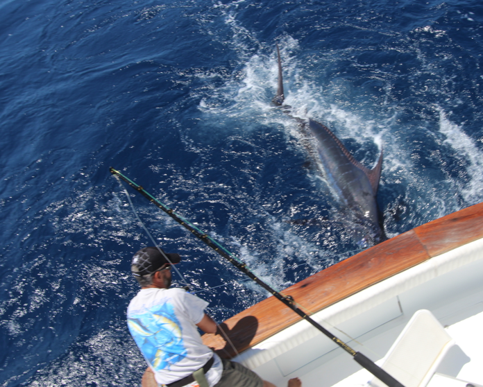 Pêche au gros à la Gomera