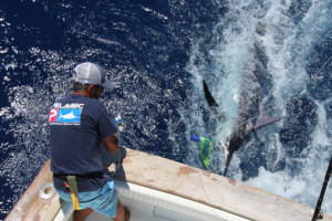 big-game-fishing-la-gomera-july-2016