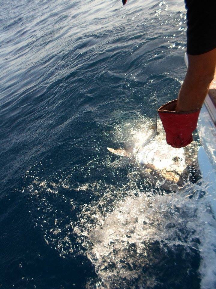 Pêche au thon rouge à La Gomera