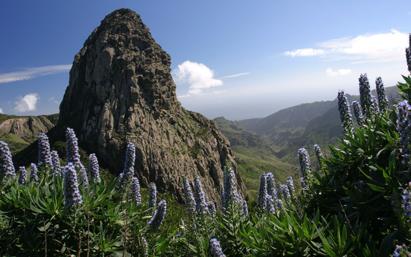 Natural areas of La Gomera (Canary Islands)