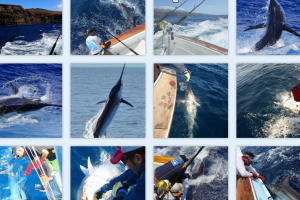 Photo Gallery – Big Game Fishing in La Gomera (Canary Islands) 