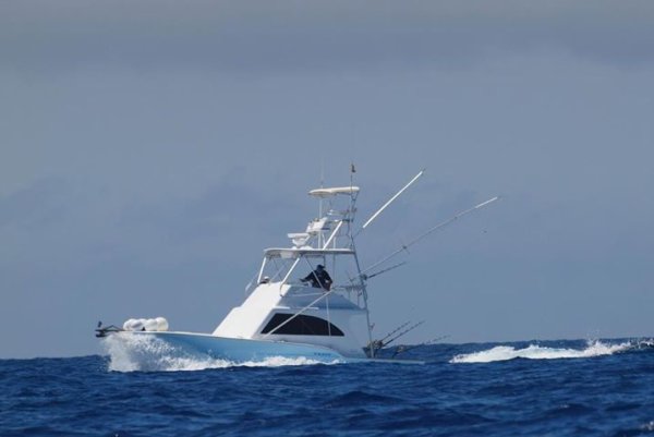 Nell Magic, a boat designed for big game fishing - La Gomera (Canary Islands)