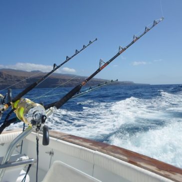 First fishing day on the Gomera tournament