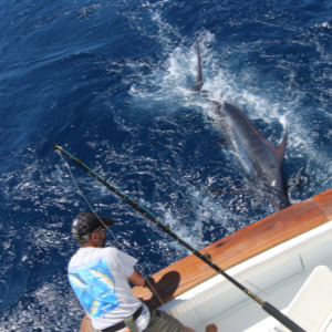 Big game fishing in La Gomera (Canary Islands)