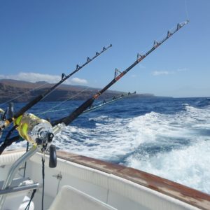 Big game fishing in La Gomera (Canary Islands)