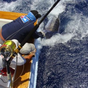 Big game fishing in La Gomera (Canary Islands)