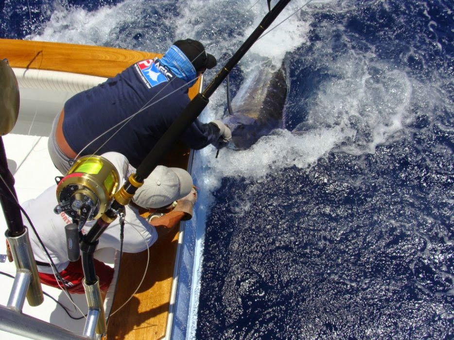 Big fishing game in La Gomera - Canary Islands