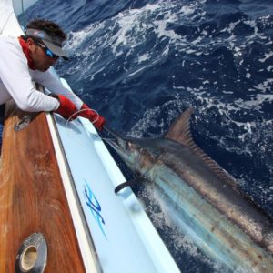 Big game fishing in La Gomera (Canary Islands)