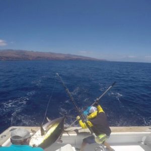 Big game fishing in La Gomera (Canary Islands)