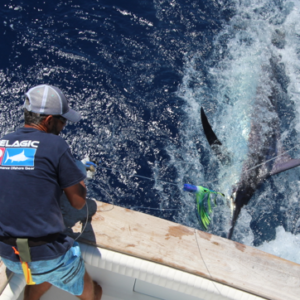 Pêche au gros à La Gomera