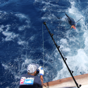 Big game fishing in La Gomera