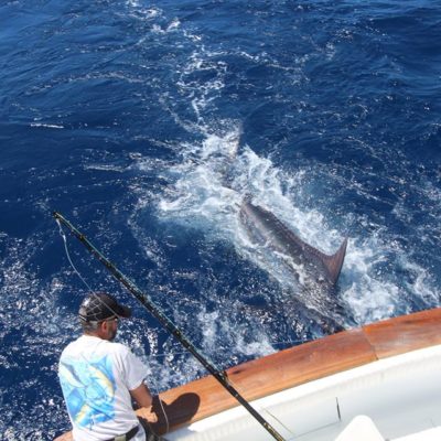 Big game fishing in La Gomera