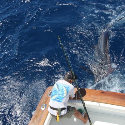 Saison 2016 de pêche au gros à La Gomera