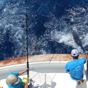 Big game fishing Tournament in La Gomera