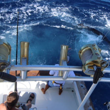 Journée fantastique à la Gomera pour le Nell Magic